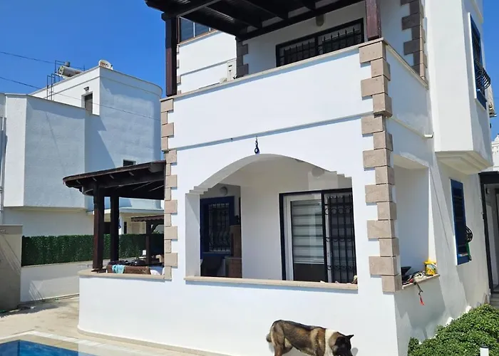 Villa A Turgutreis *