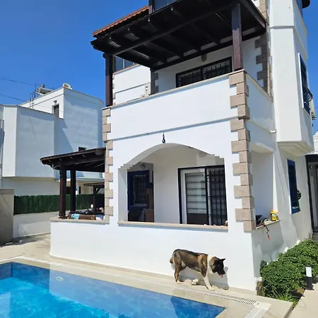 Villa à Turgutreis *